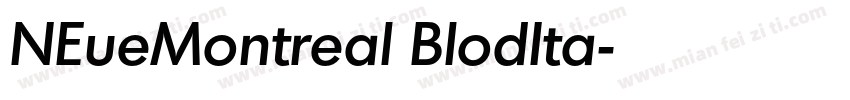 NEueMontreal BlodIta字体转换